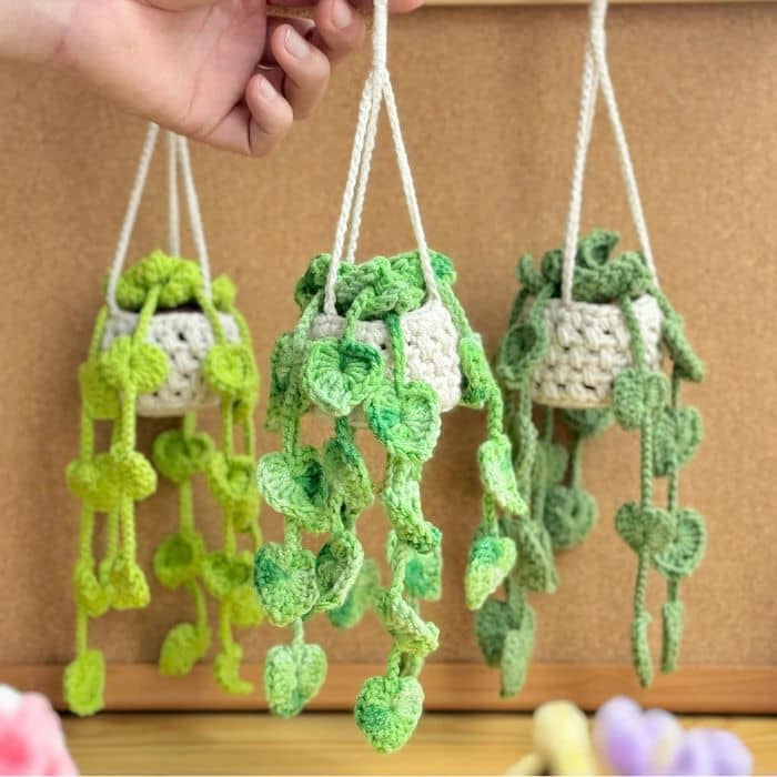 Plantitas Colgantes